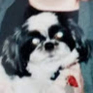 Meet your Posher, Jeanette